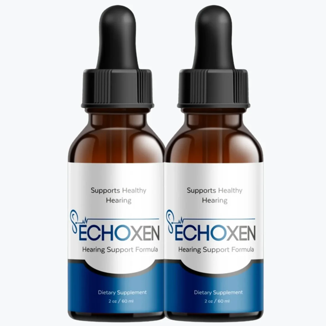 EchoXen how it works overview